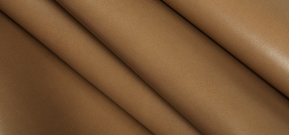Contessa Siena
